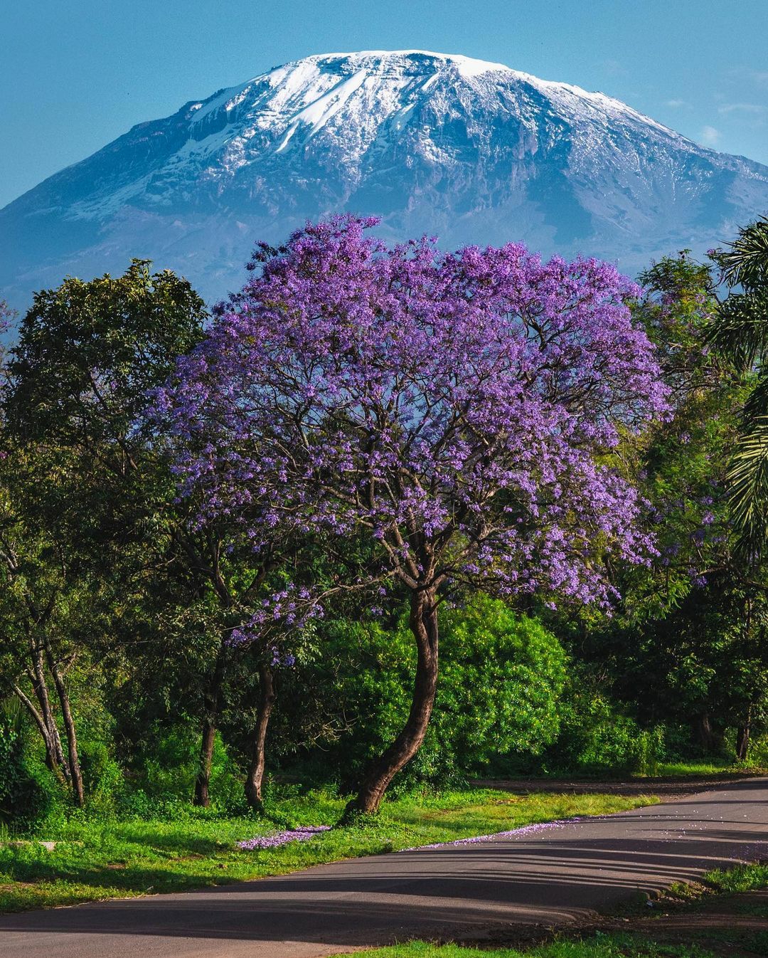 Mount Kilimanjaro