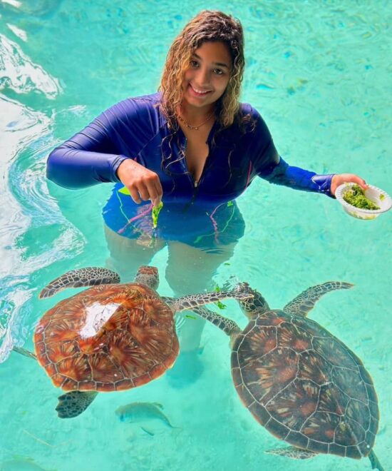 Aquarium Swim with Tortoise Tour – Zanzibar