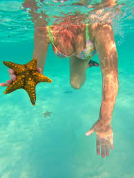 Starfish Activity