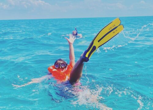 Safari Blue Zanzibar