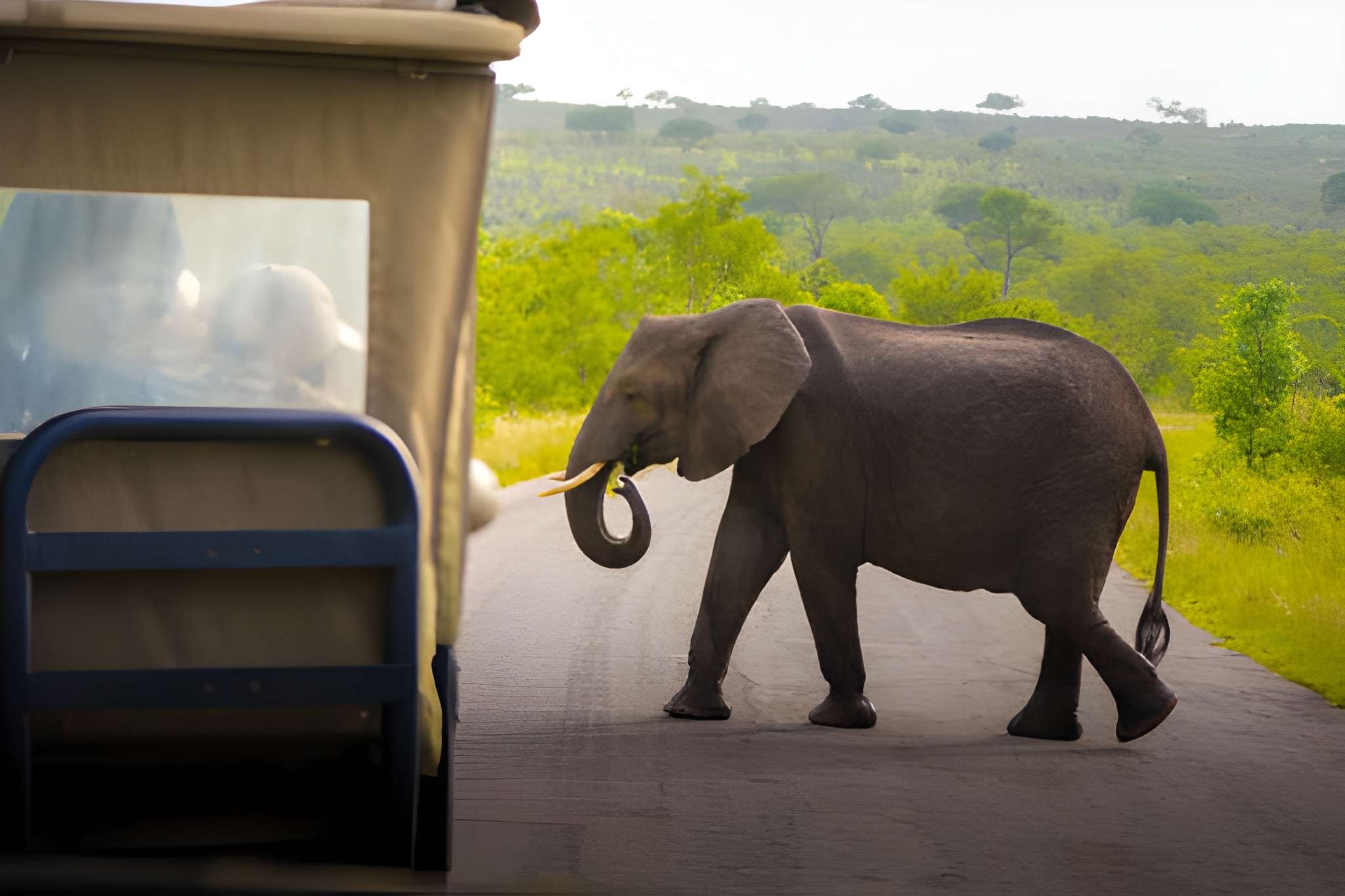 Nyerere National Park