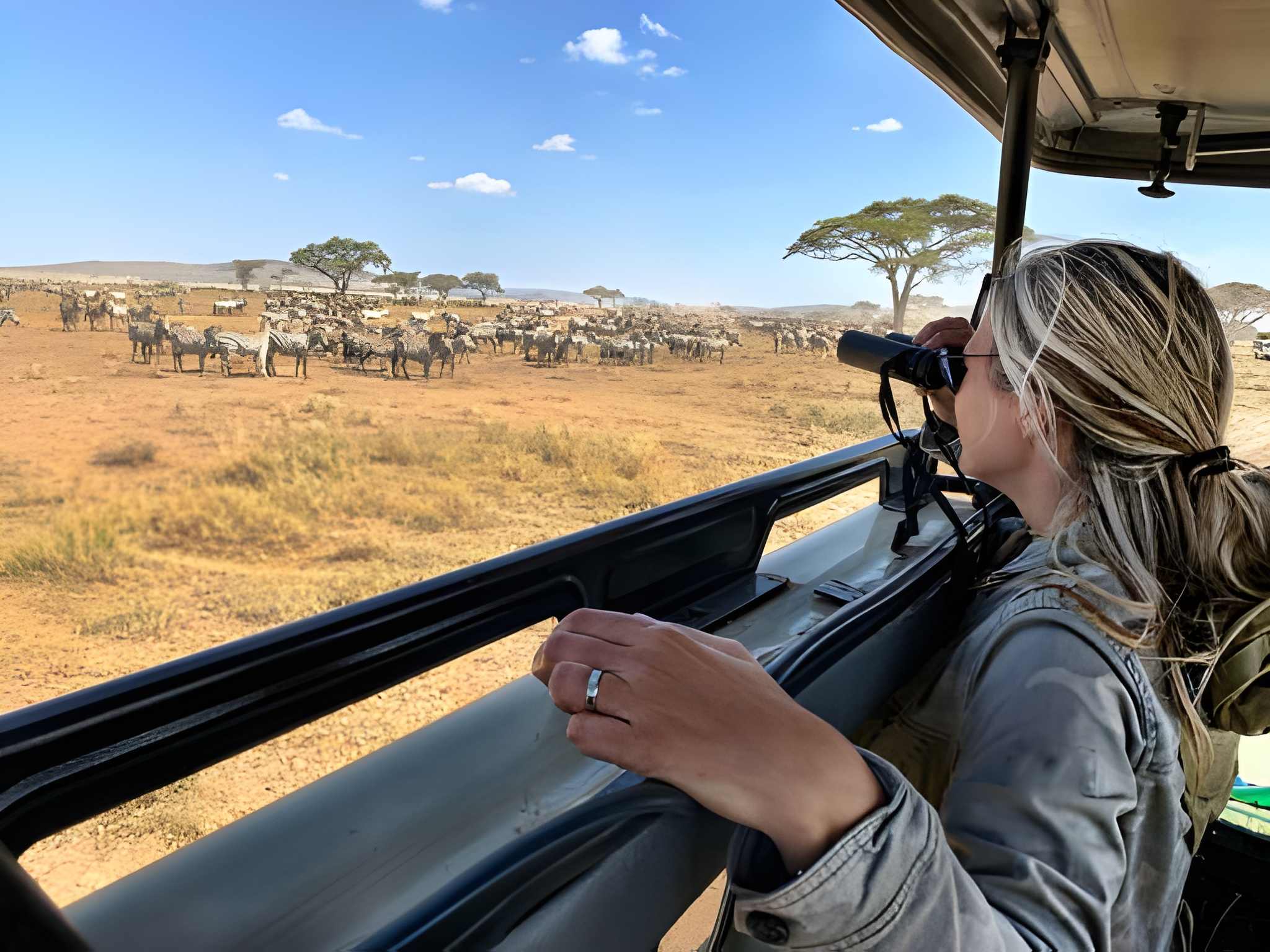 Holiday Travel Packages